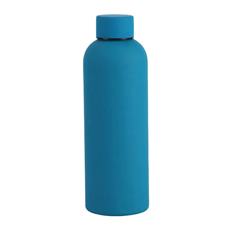 Sports Insulated Water Bottle
