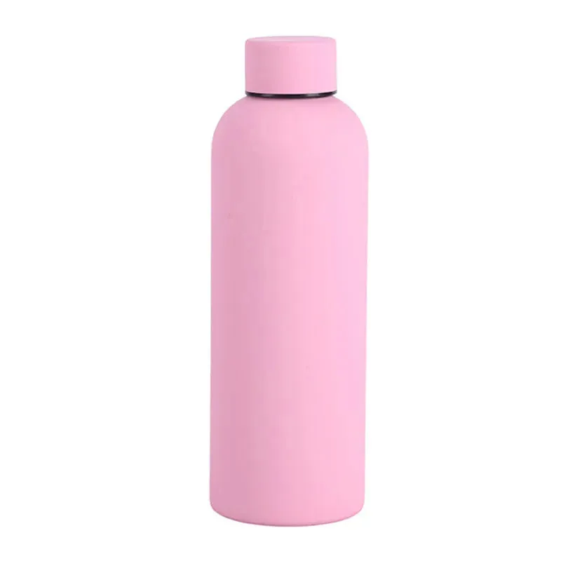 Sports Insulated Water Bottle