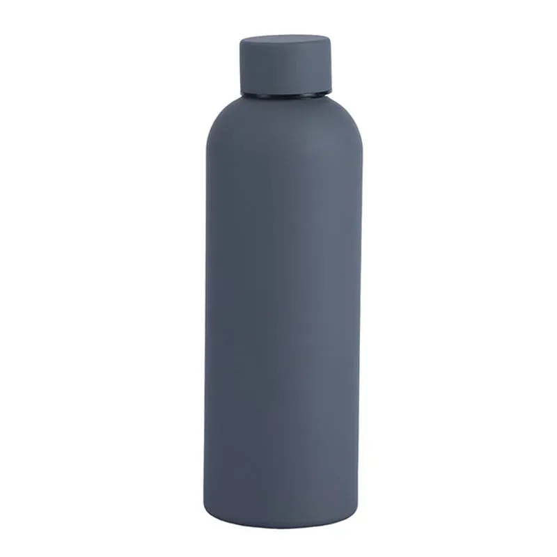 Sports Insulated Water Bottle