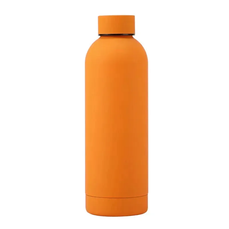Sports Insulated Water Bottle