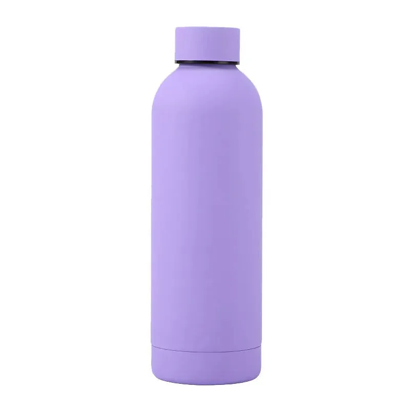 Sports Insulated Water Bottle