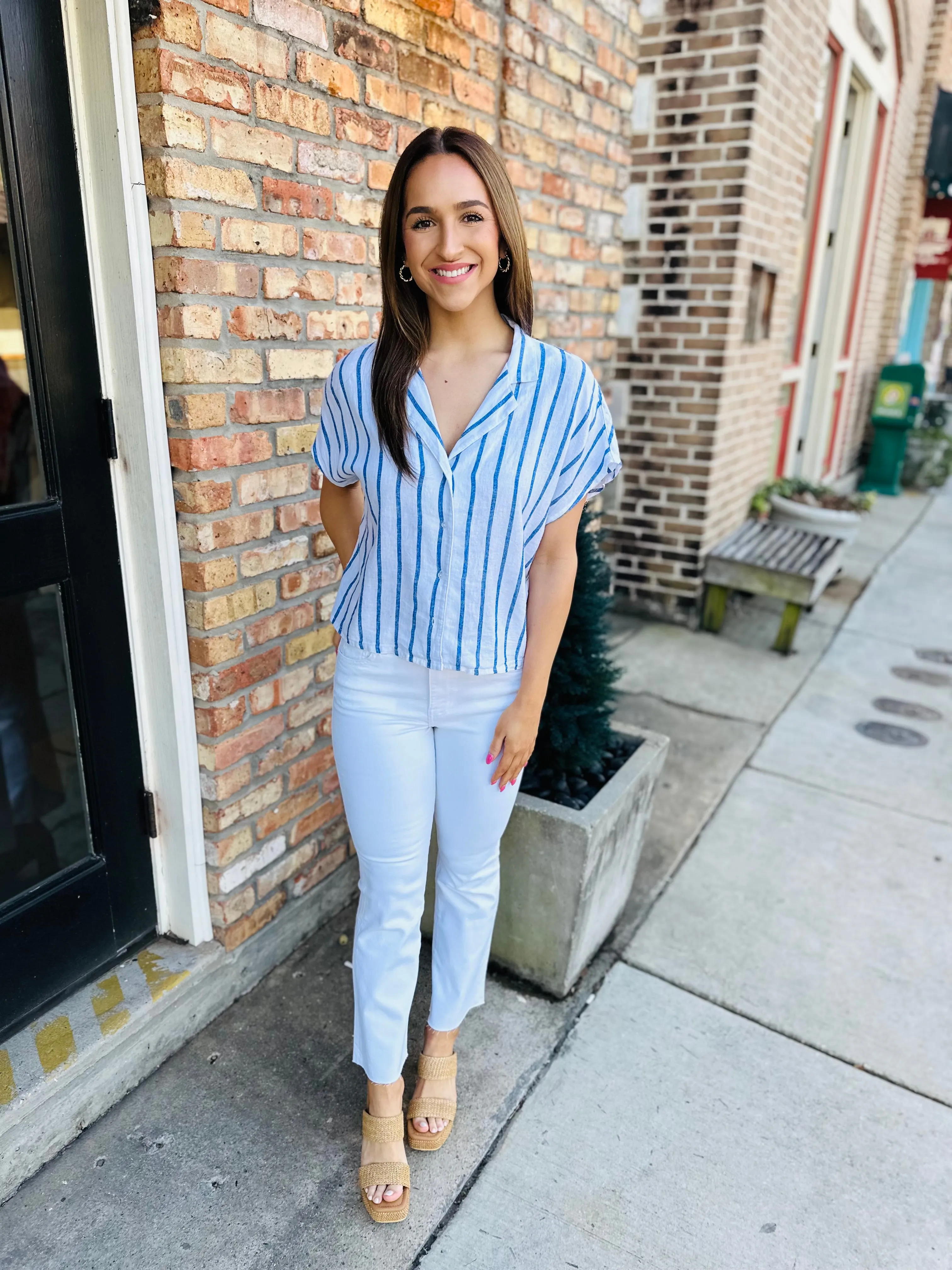 Z Supply Parallel Button Down Top- Blue