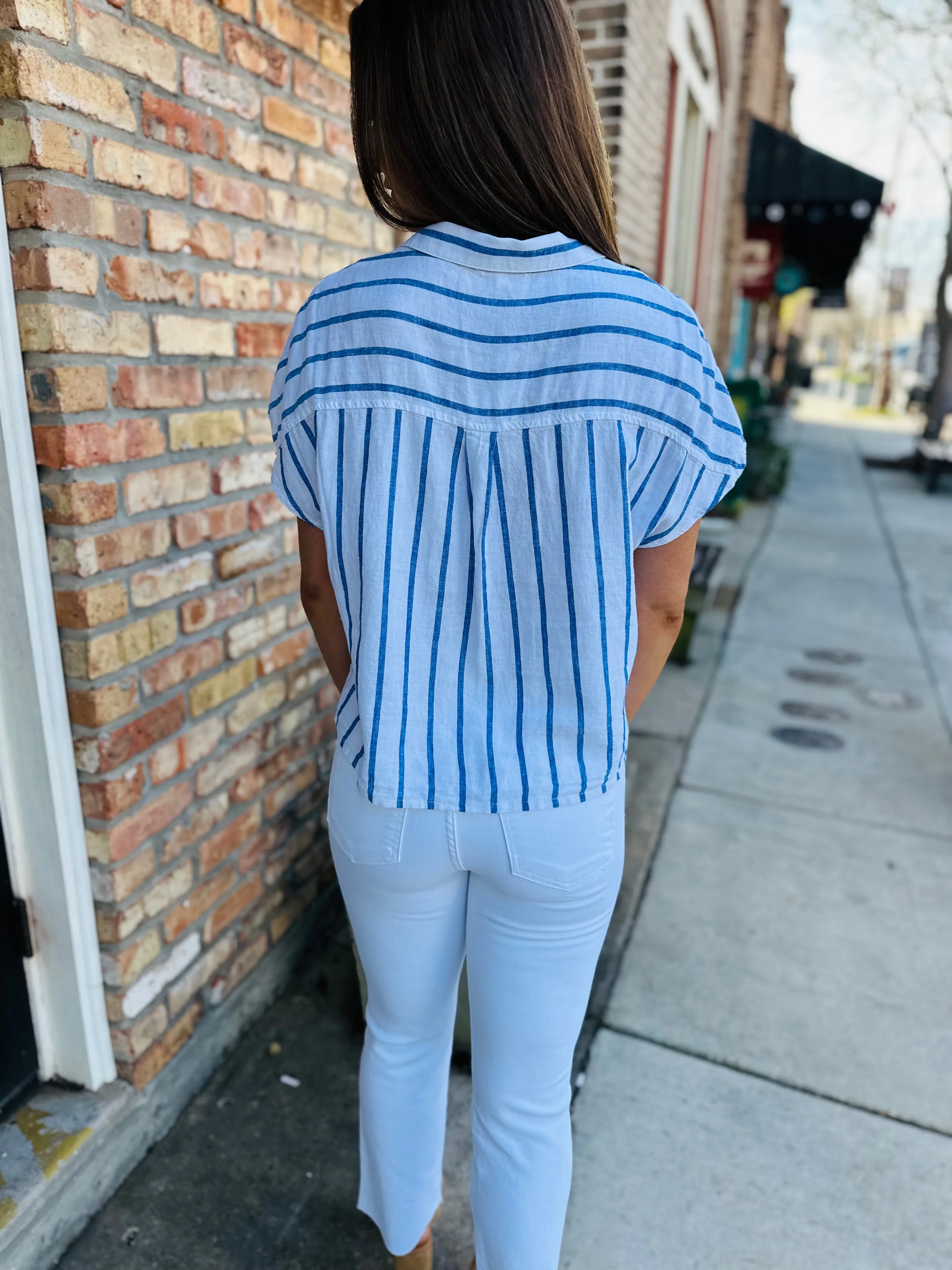 Z Supply Parallel Button Down Top- Blue