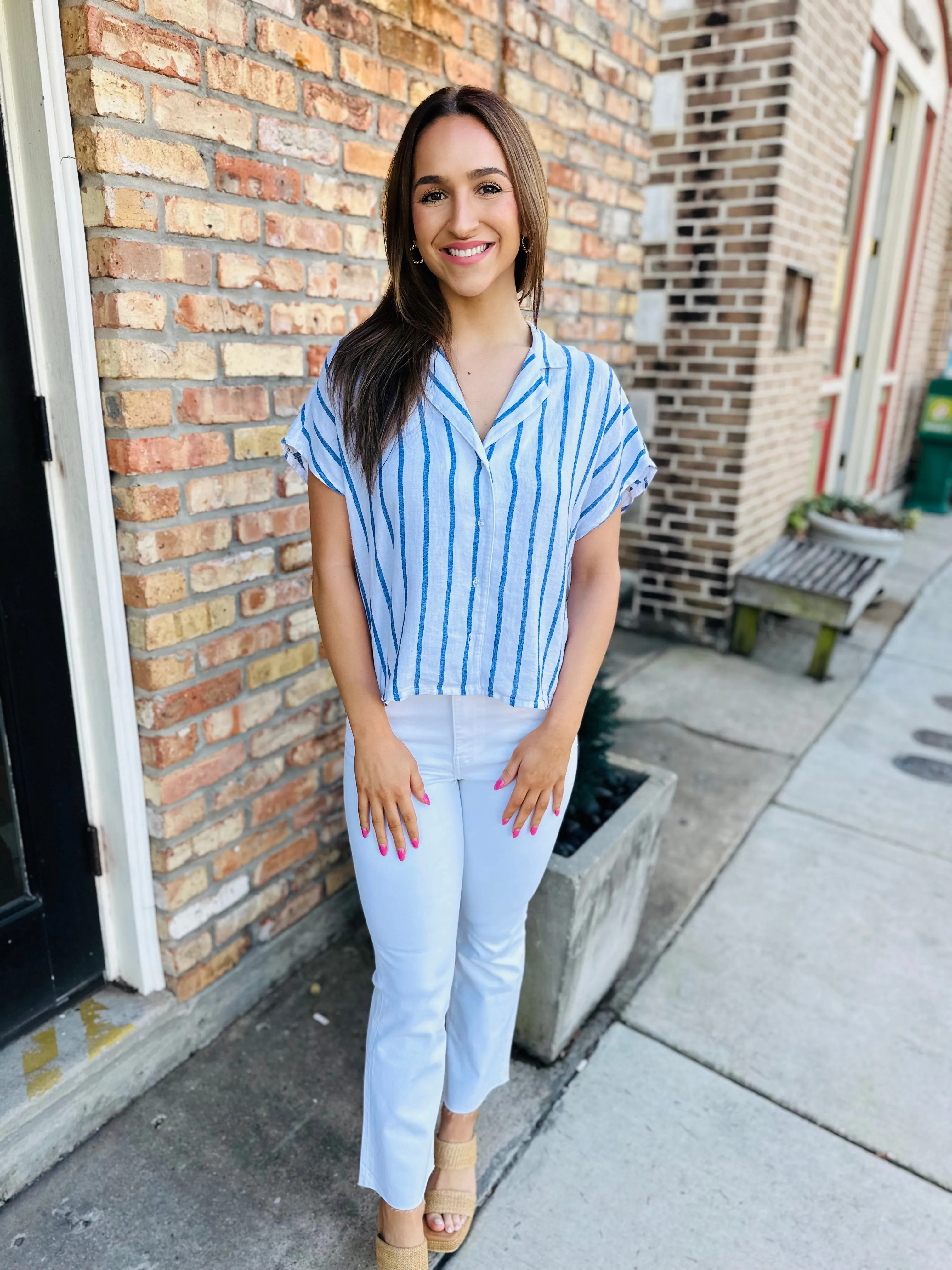 Z Supply Parallel Button Down Top- Blue