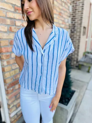 Z Supply Parallel Button Down Top- Blue